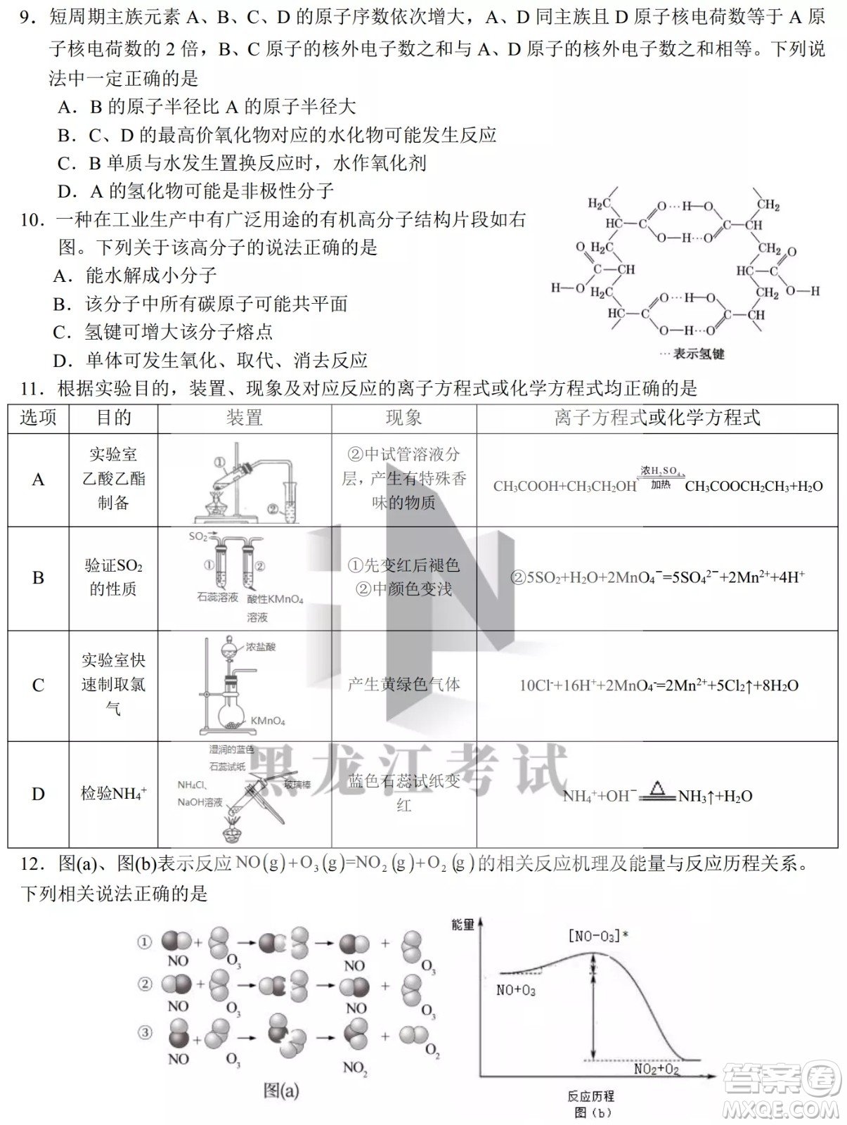 哈爾濱市第九中學(xué)校2021-2022學(xué)年度下學(xué)期開學(xué)考試高三理綜試題及答案