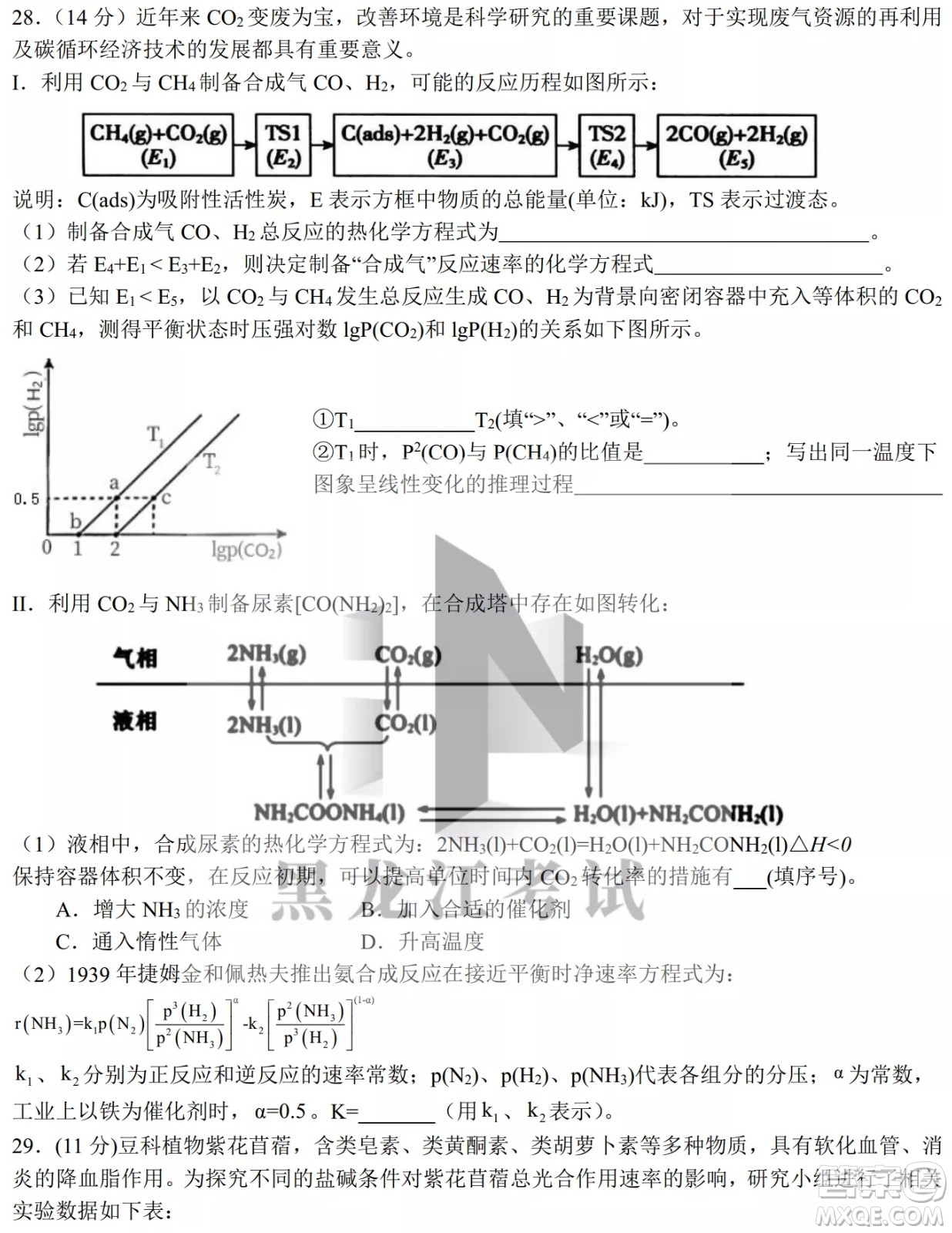 哈爾濱市第九中學(xué)校2021-2022學(xué)年度下學(xué)期開學(xué)考試高三理綜試題及答案
