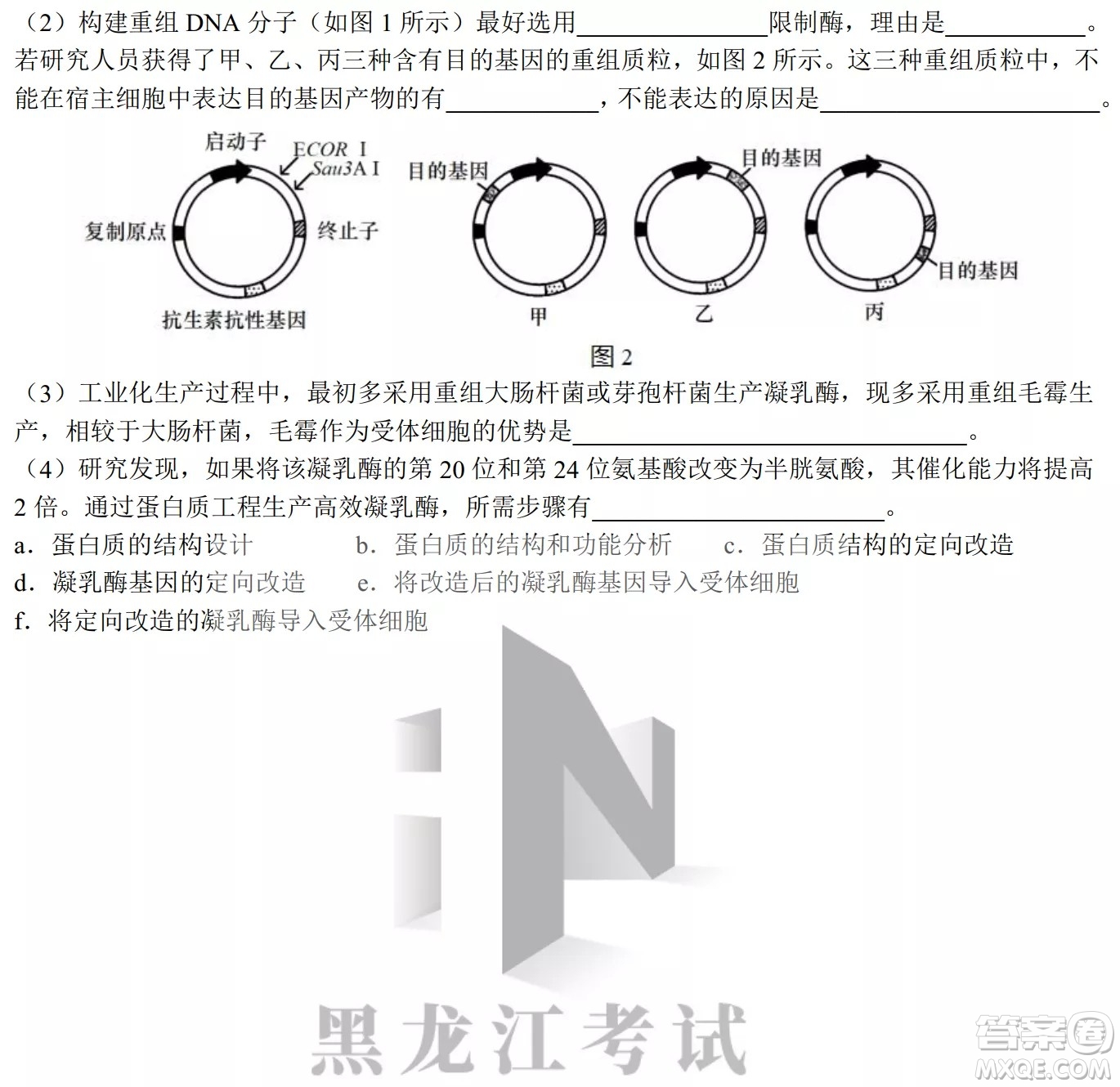 哈爾濱市第九中學(xué)校2021-2022學(xué)年度下學(xué)期開學(xué)考試高三理綜試題及答案