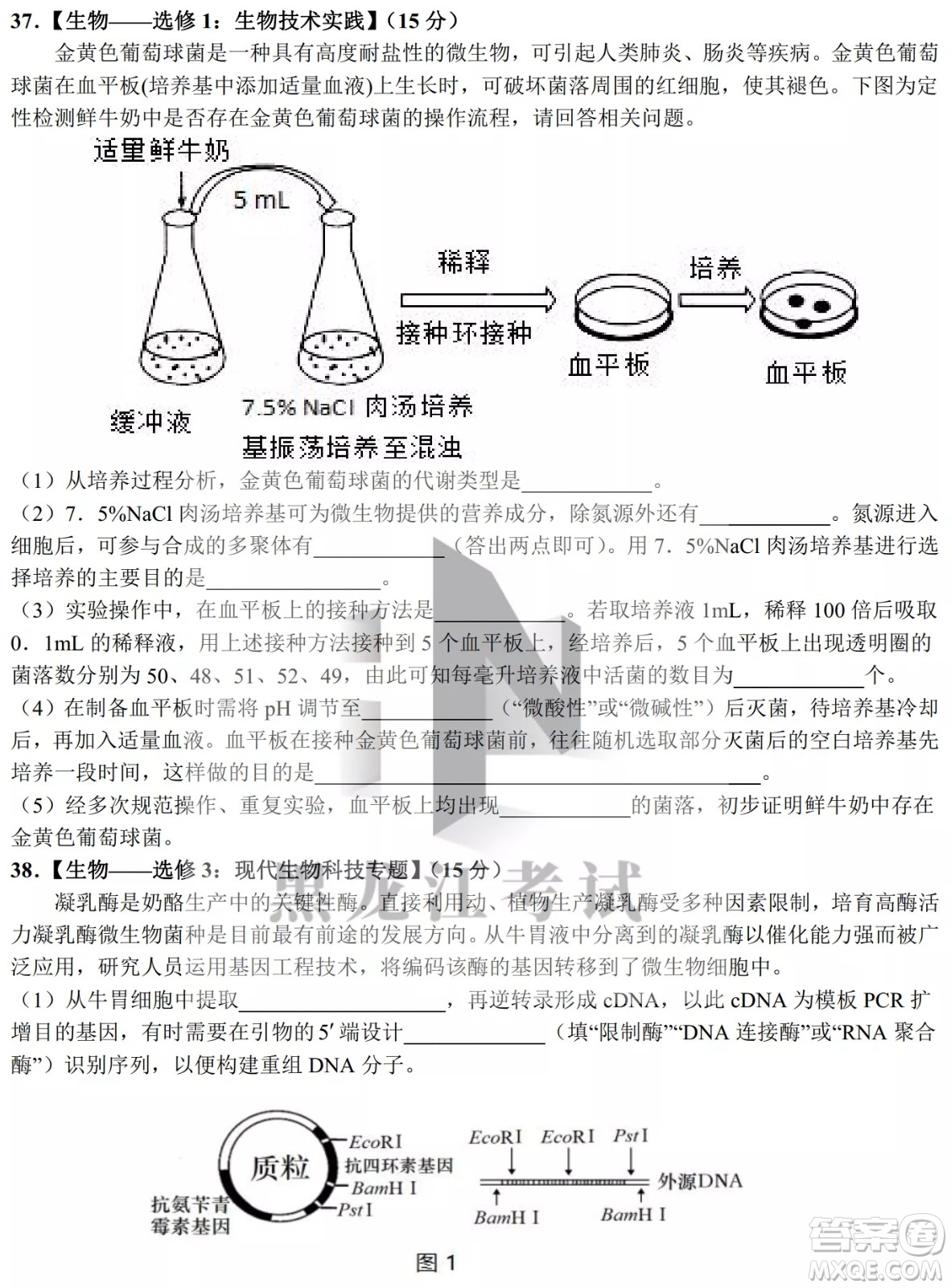 哈爾濱市第九中學(xué)校2021-2022學(xué)年度下學(xué)期開學(xué)考試高三理綜試題及答案