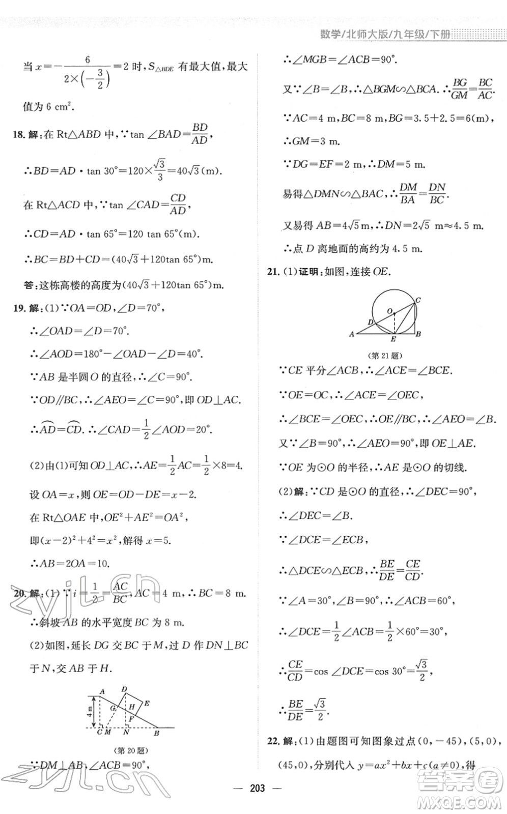 安徽教育出版社2022新編基礎訓練九年級數(shù)學下冊北師大版答案
