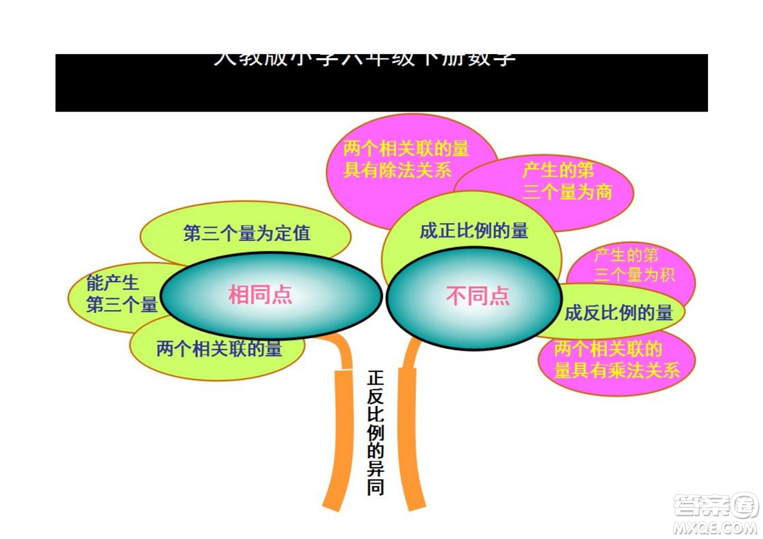 2022六年級下冊數(shù)學人教版思維導圖