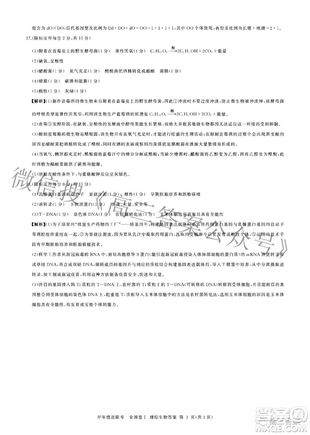 百師聯(lián)盟2022屆高三開年摸底聯(lián)考全國卷1理科綜合試題及答案