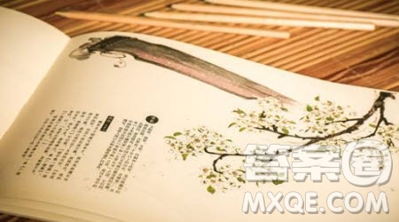 操千曲而后曉聲觀千劍而后識器材料作文800字 關(guān)于操千曲而后曉聲觀千劍而后識器的材料作文800字