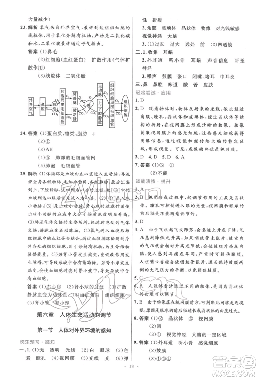 人民教育出版社2022初中同步測控優(yōu)化設計七年級生物下冊人教版精編版參考答案