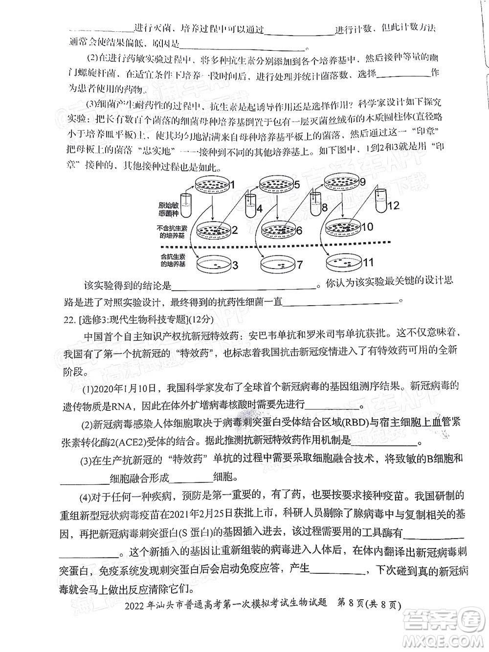 2022年汕頭市普通高考第一次模擬考試試題生物答案