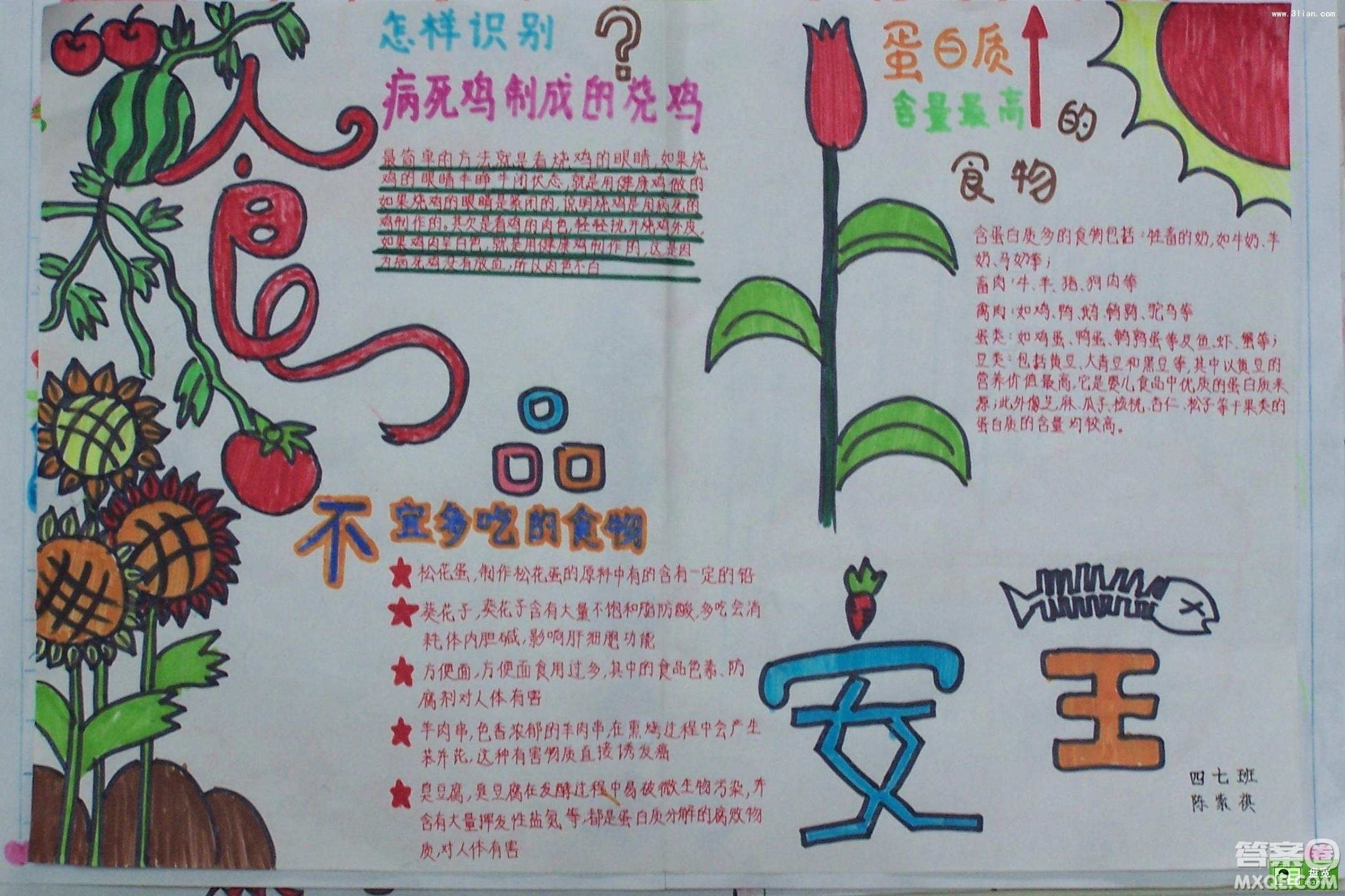 小學生安全主題手抄報怎么做 小學生安全主題手抄報內(nèi)容