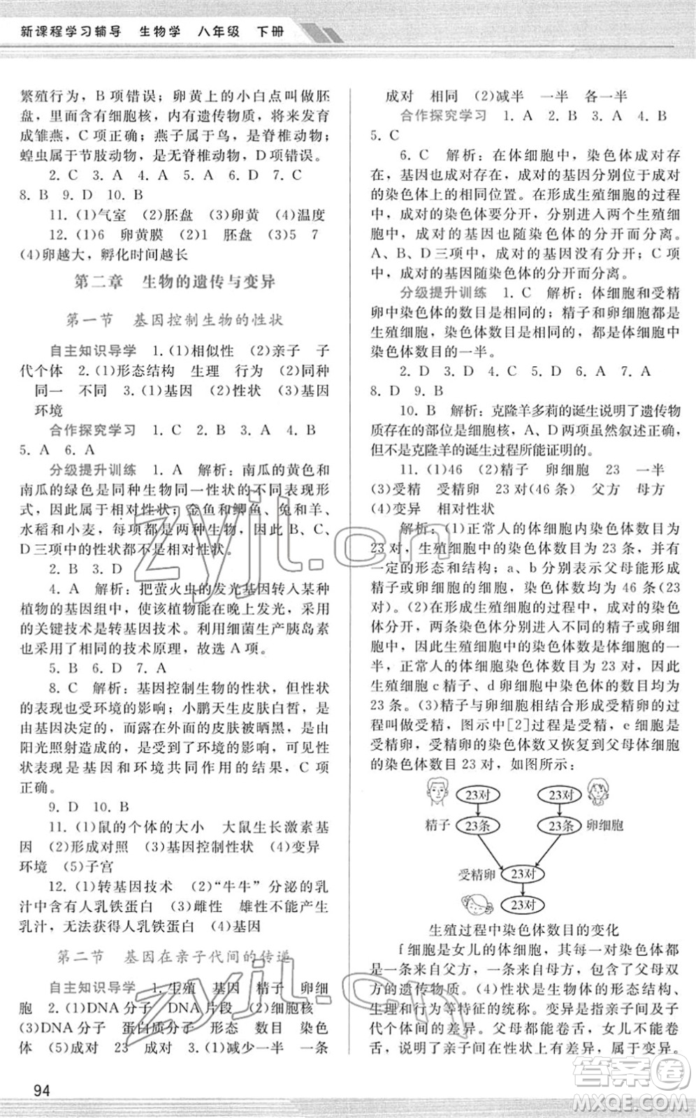廣西師范大學(xué)出版社2022新課程學(xué)習(xí)輔導(dǎo)八年級(jí)生物下冊(cè)人教版答案