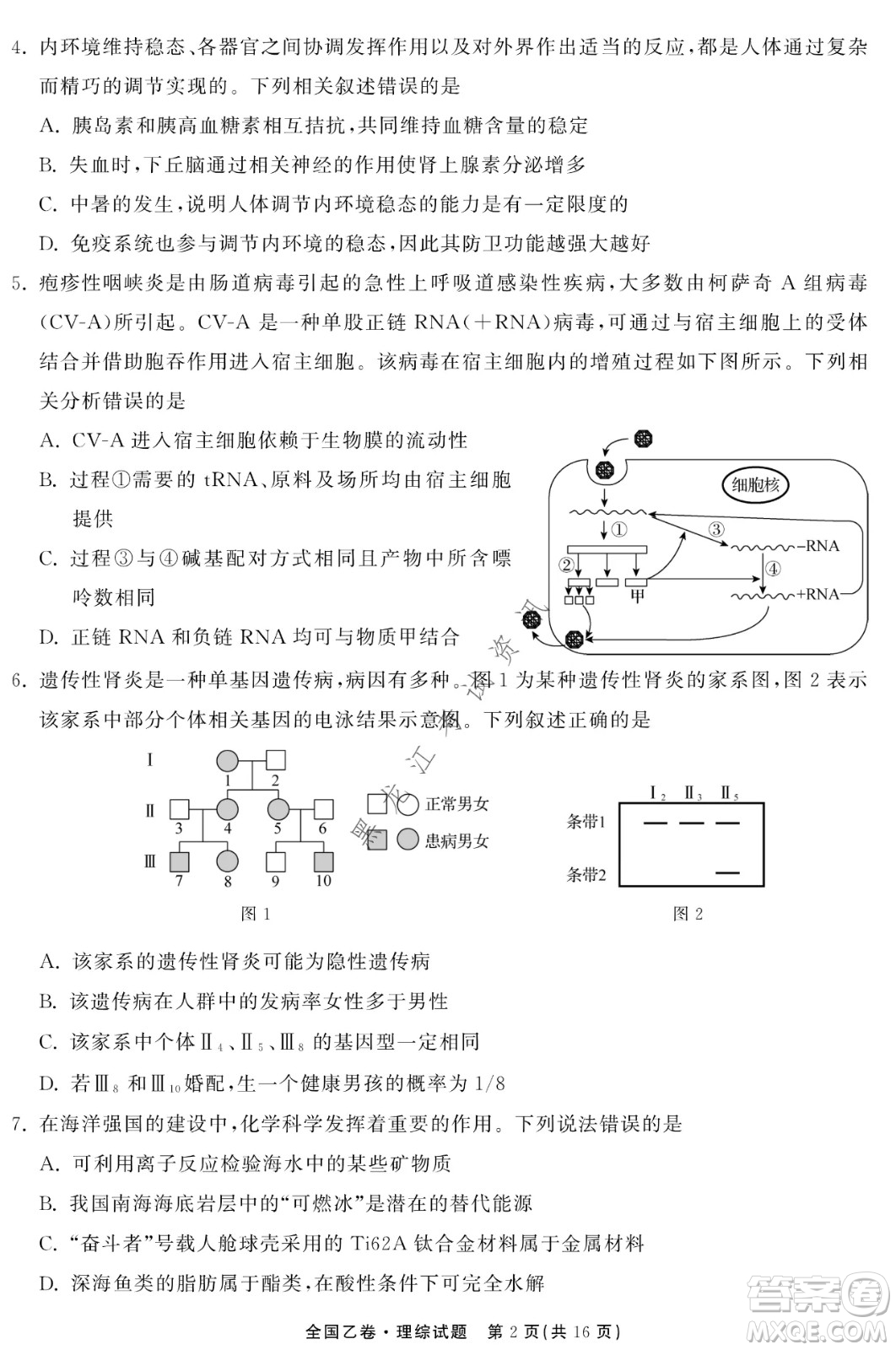 衡中同卷2022屆全國(guó)高三第二次學(xué)業(yè)質(zhì)量聯(lián)合檢測(cè)乙卷理綜試題及答案