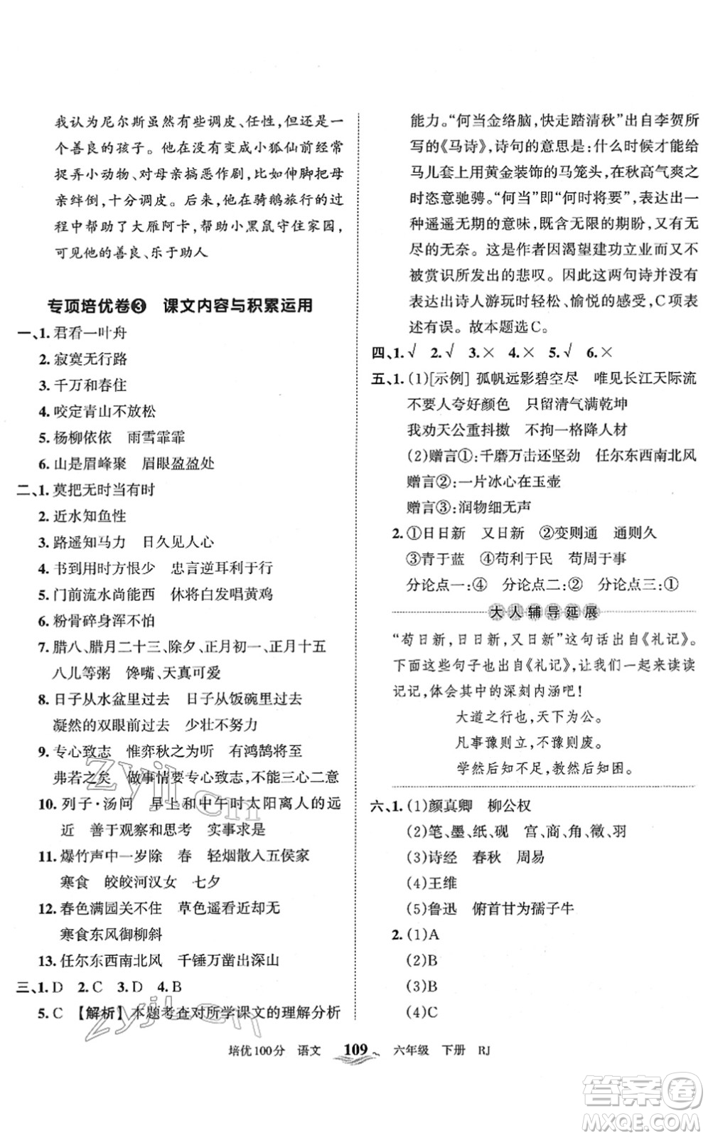 江西人民出版社2022王朝霞培優(yōu)100分六年級(jí)語文下冊(cè)RJ人教版答案