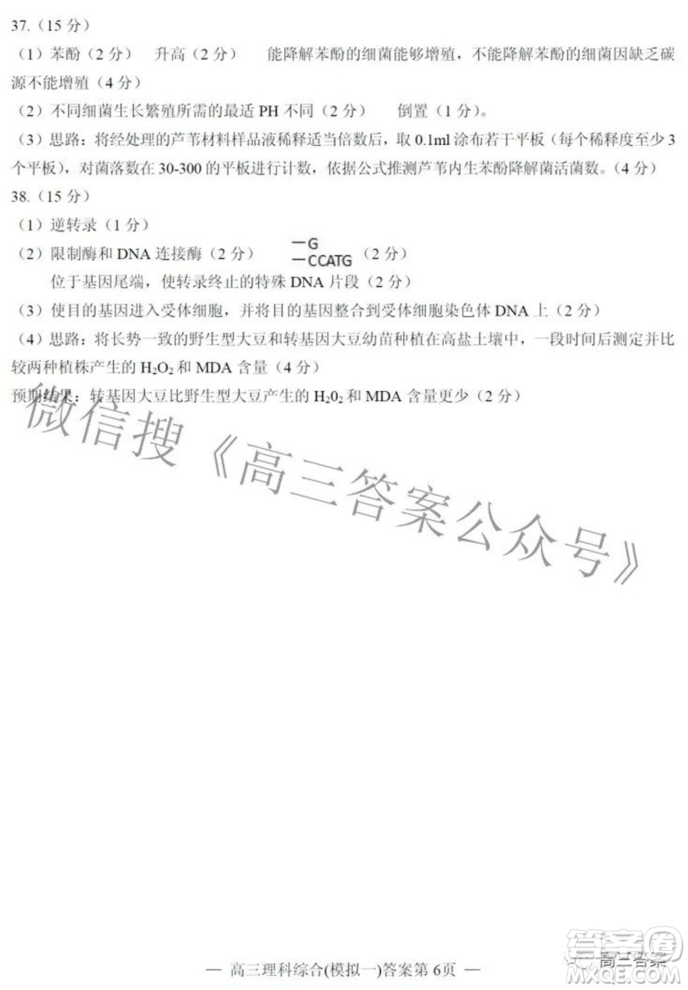 20220607項(xiàng)目第一次模擬測試卷理科綜合試題及答案
