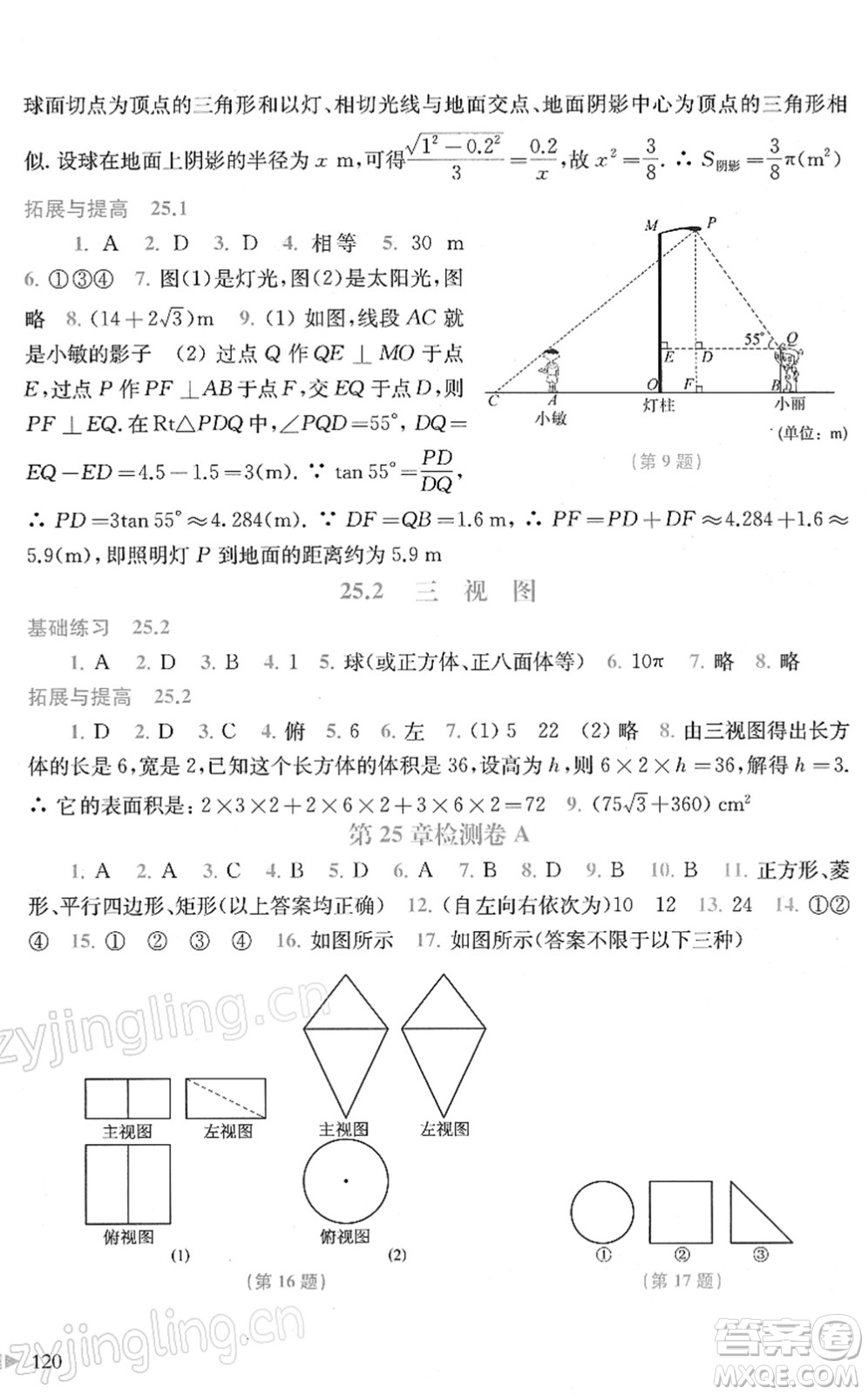 上?？茖W(xué)技術(shù)出版社2022初中數(shù)學(xué)同步練習(xí)九年級下冊滬科版答案
