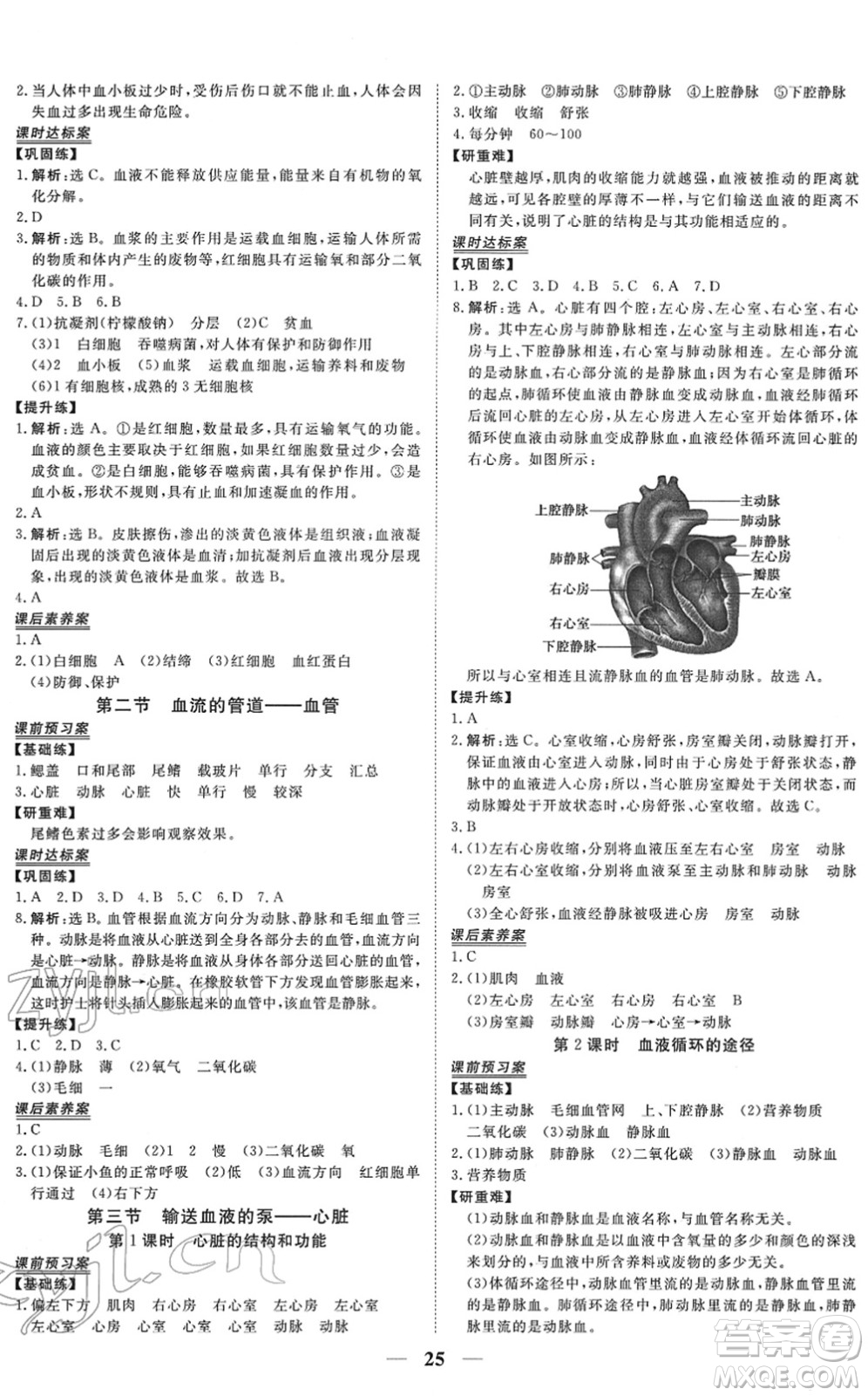 青海人民出版社2022新坐標(biāo)同步練習(xí)七年級(jí)生物下冊(cè)人教版青海專用答案