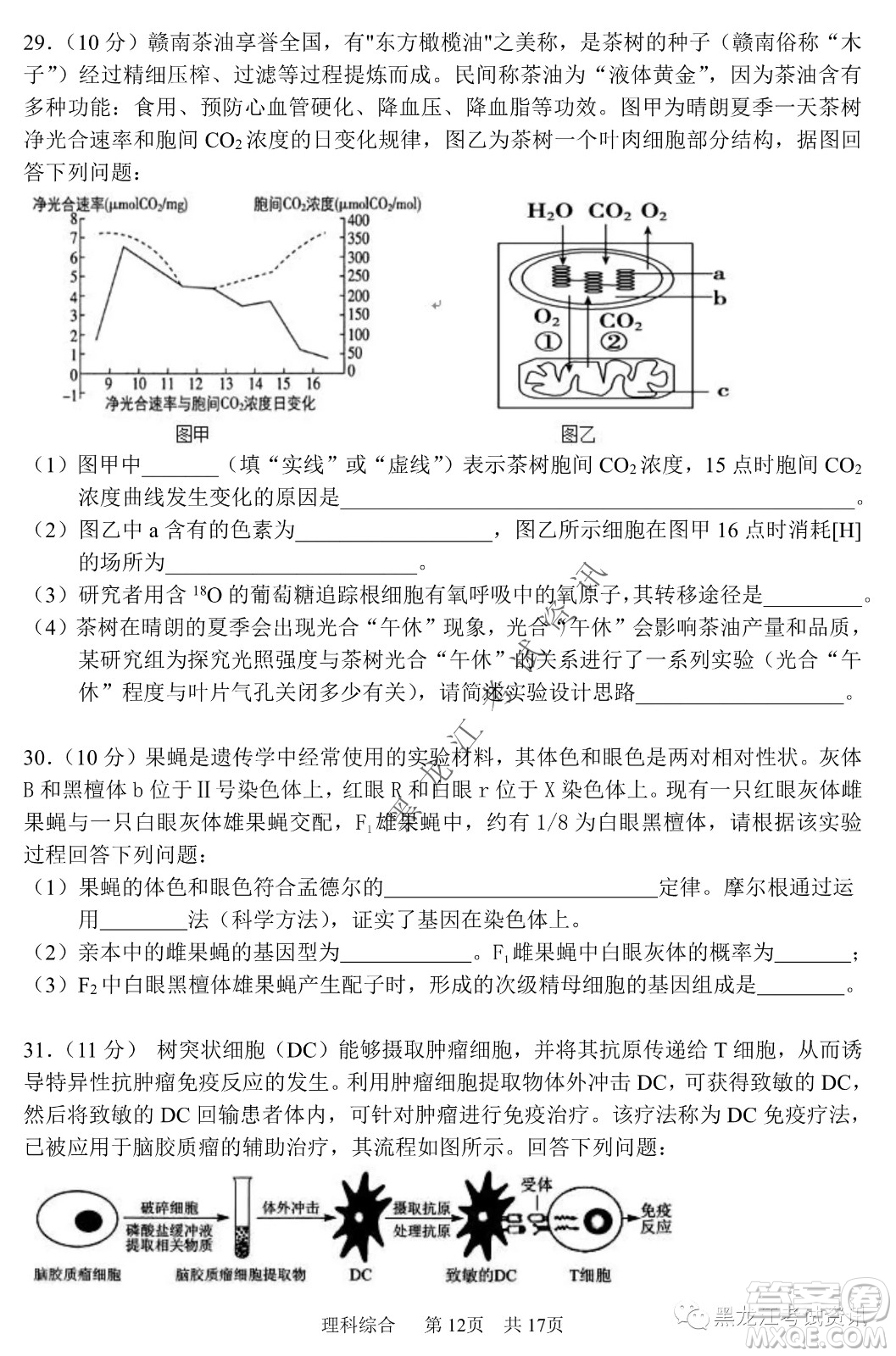 2022年哈三中第一次高考模擬考試理綜試卷及答案