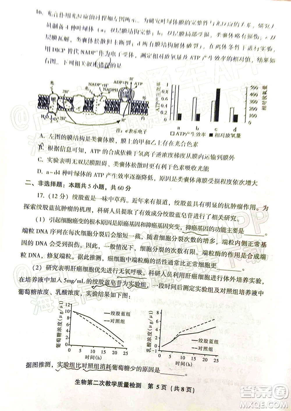 漳州市2022屆高中畢業(yè)班第二次教學質量檢測生物試題及答案