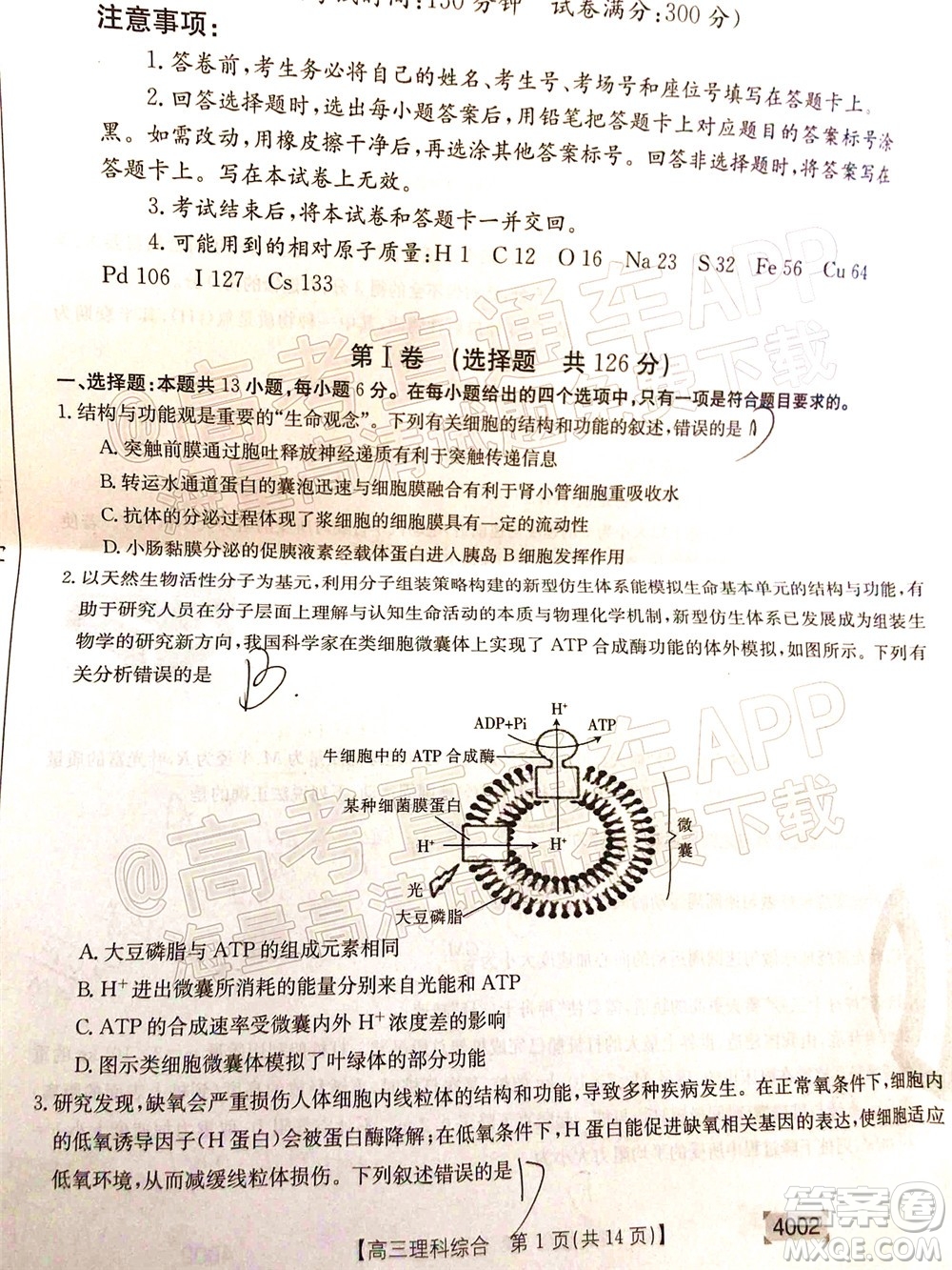 2022屆黔東南金太陽3月聯(lián)考高三理科綜合試題及答案