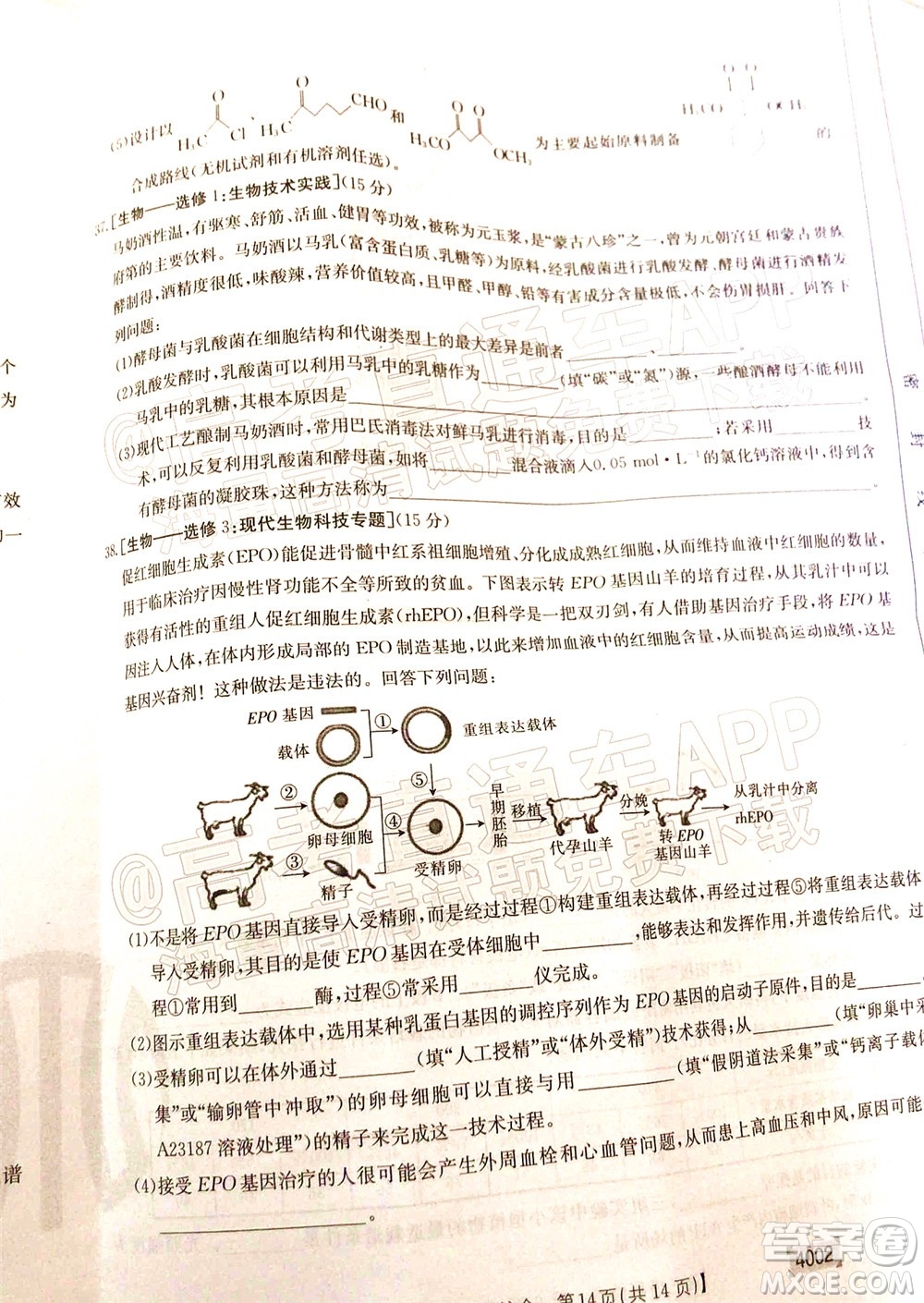 2022屆黔東南金太陽3月聯(lián)考高三理科綜合試題及答案