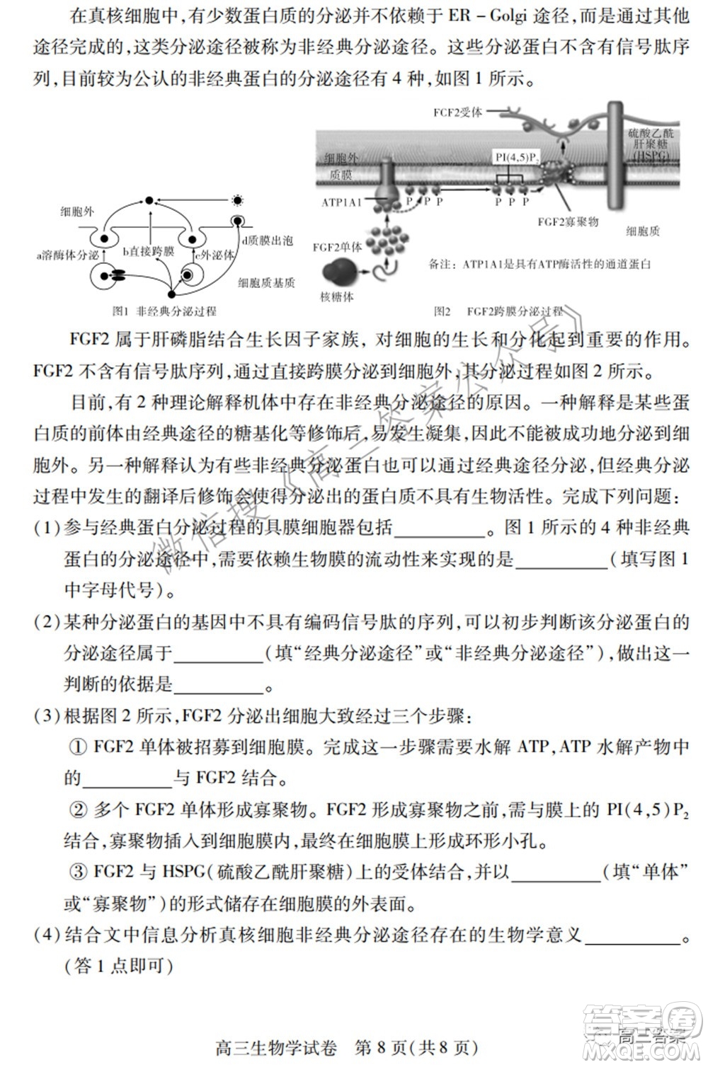 2022年湖北省七市州高三年級(jí)3月聯(lián)合統(tǒng)一調(diào)研測(cè)試?生物學(xué)試題及答案