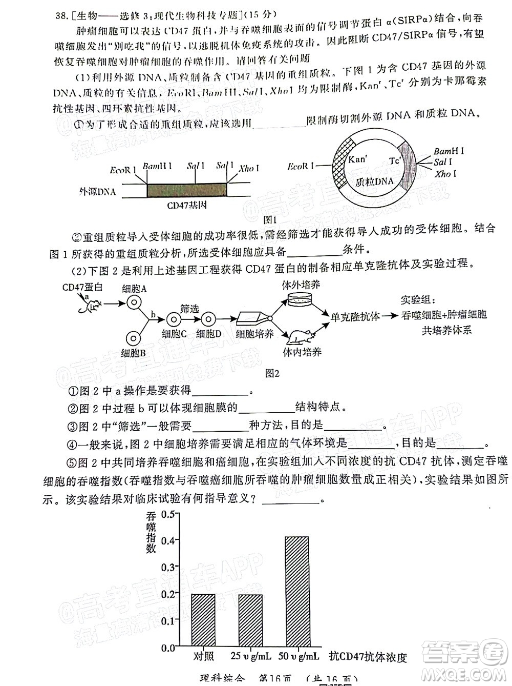 河南開(kāi)封市2022屆高三第二次模擬考試?yán)砜凭C合試題及答案