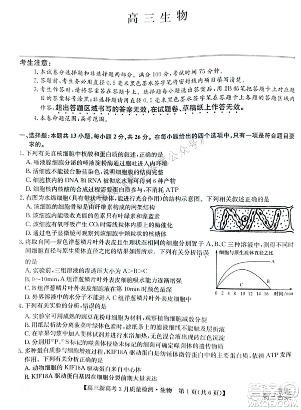 2022屆九師聯(lián)盟高三新高考3月質(zhì)量檢測(cè)高三生物試題及答案