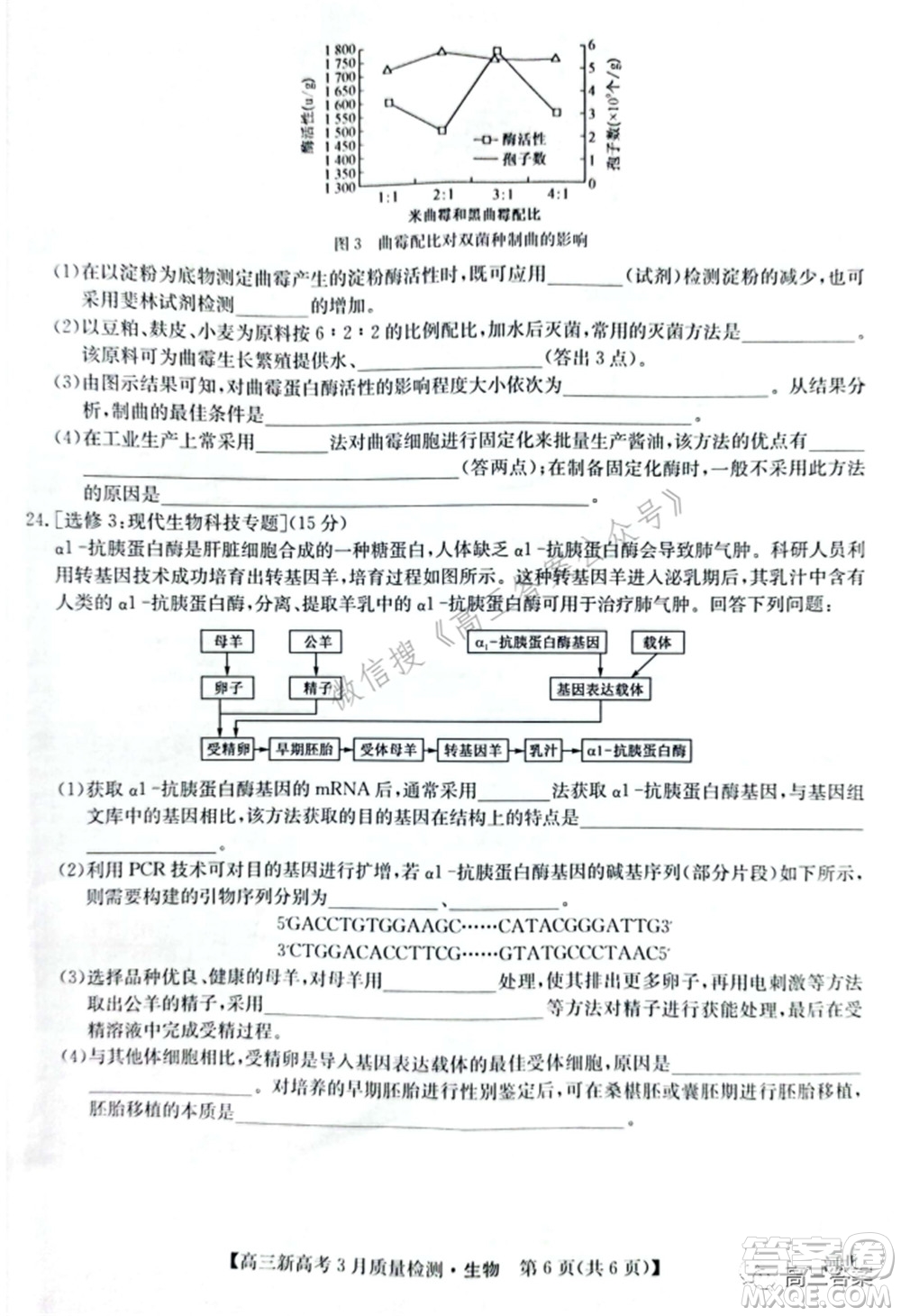 2022屆九師聯(lián)盟高三新高考3月質(zhì)量檢測(cè)高三生物試題及答案