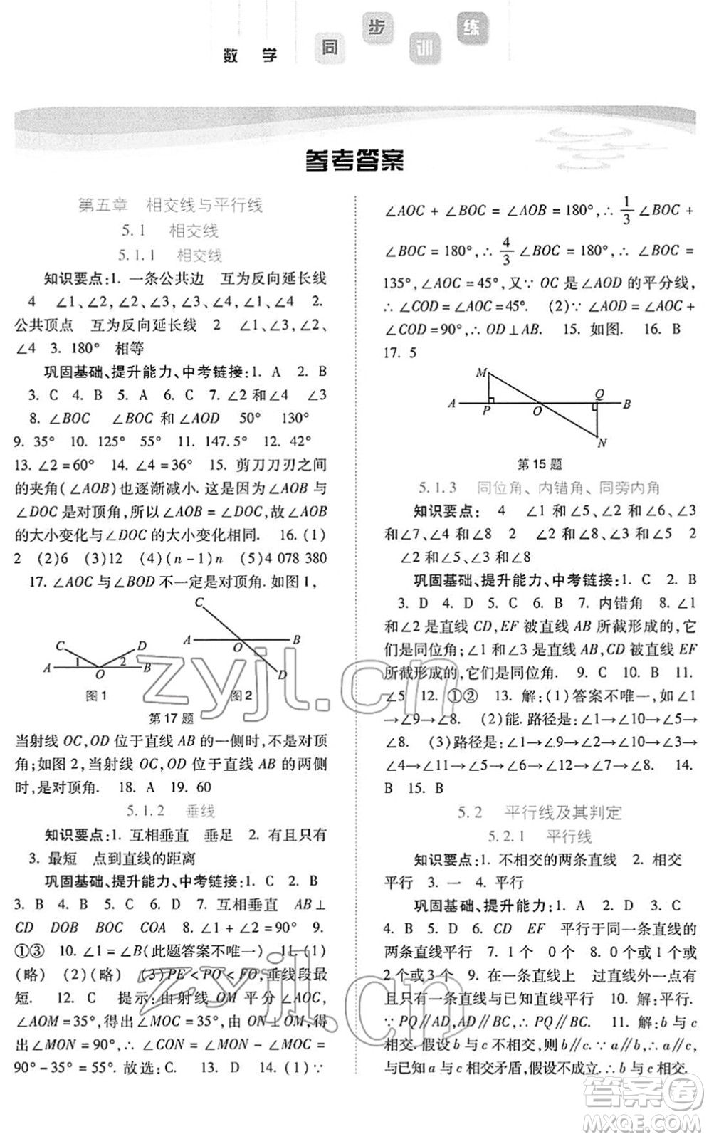 河北人民出版社2022同步訓練七年級數(shù)學下冊人教版答案