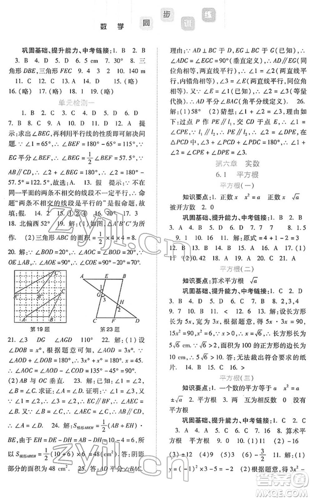 河北人民出版社2022同步訓練七年級數(shù)學下冊人教版答案