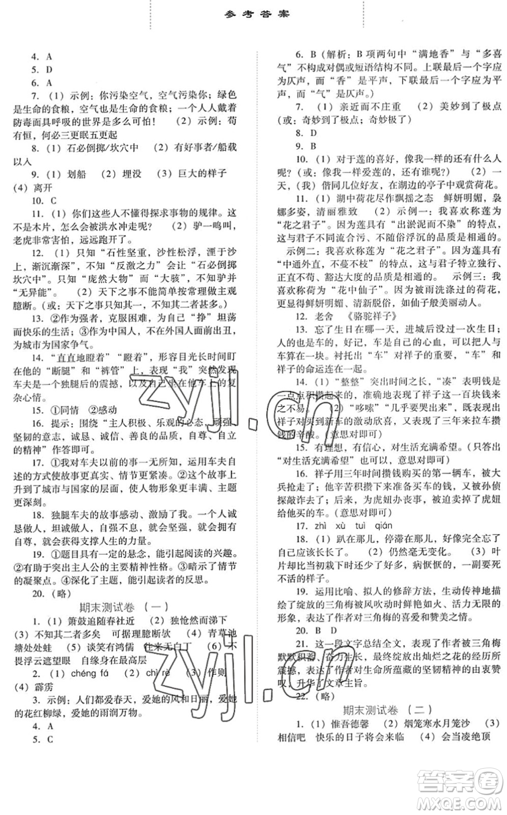 河北人民出版社2022同步訓(xùn)練七年級(jí)語(yǔ)文下冊(cè)人教版答案