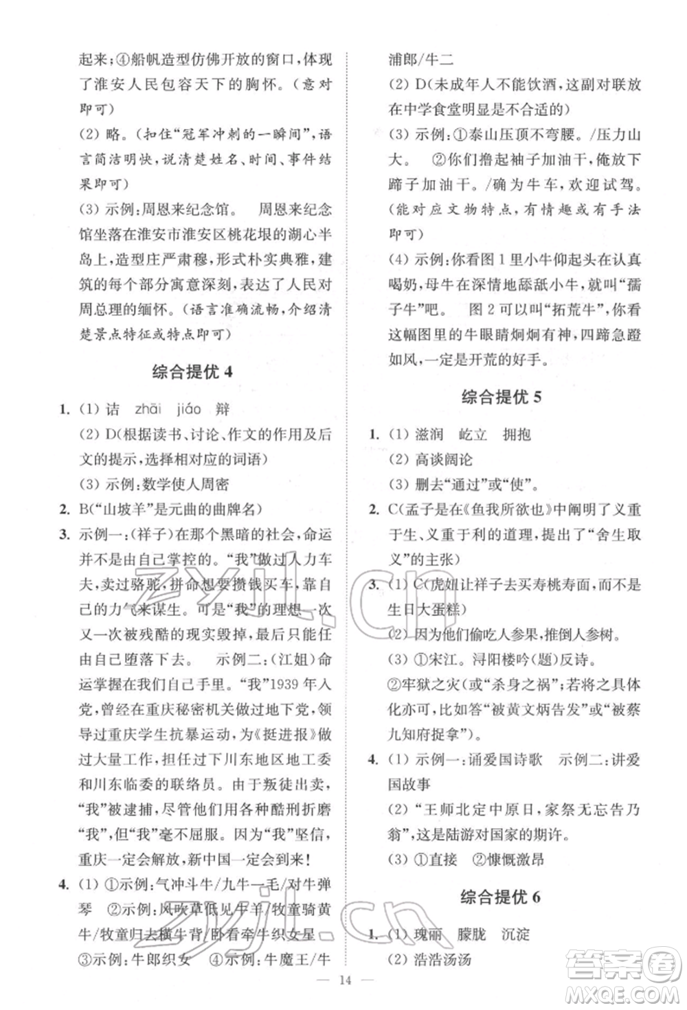 江蘇鳳凰科學技術出版社2022小題狂做中考語文通用版提優(yōu)版參考答案