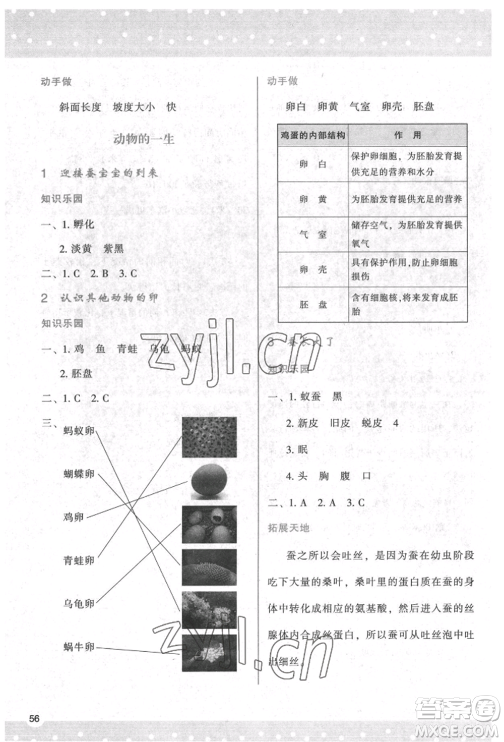 陜西人民教育出版社2022新課程學(xué)習(xí)與評價三年級科學(xué)下冊教科版參考答案