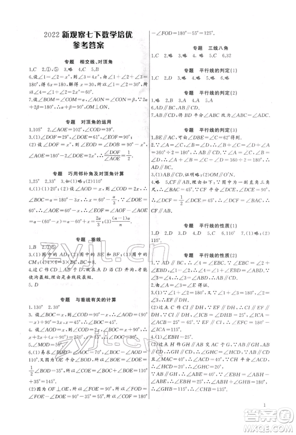 長(zhǎng)江少年兒童出版社2022思維新觀(guān)察培優(yōu)講練七年級(jí)下冊(cè)數(shù)學(xué)人教版參考答案