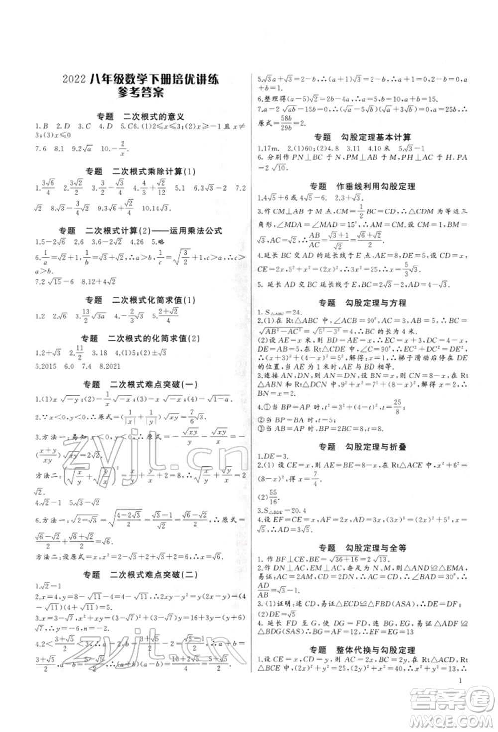長(zhǎng)江少年兒童出版社2022思維新觀察培優(yōu)講練八年級(jí)下冊(cè)數(shù)學(xué)人教版參考答案