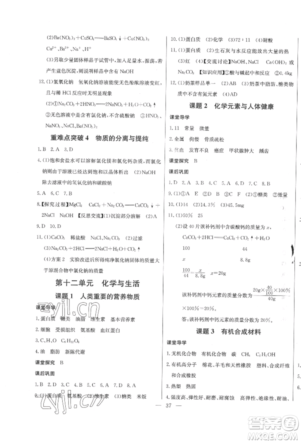 長江少年兒童出版社2022思維新觀察九年級化學(xué)下冊人教版參考答案