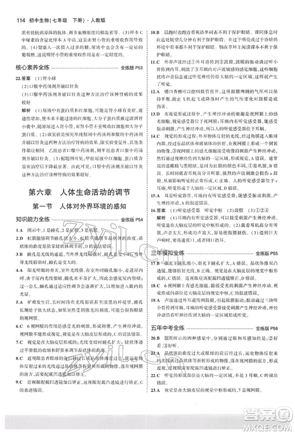 首都師范大學(xué)出版社2022年5年中考3年模擬七年級生物下冊人教版參考答案