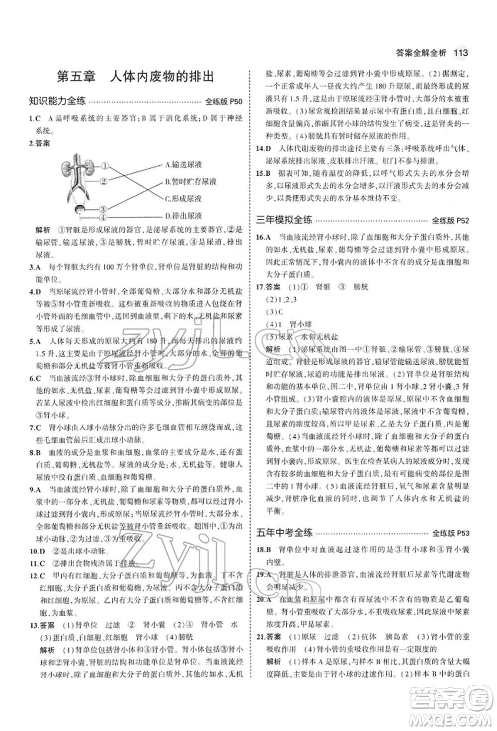 首都師范大學(xué)出版社2022年5年中考3年模擬七年級生物下冊人教版參考答案