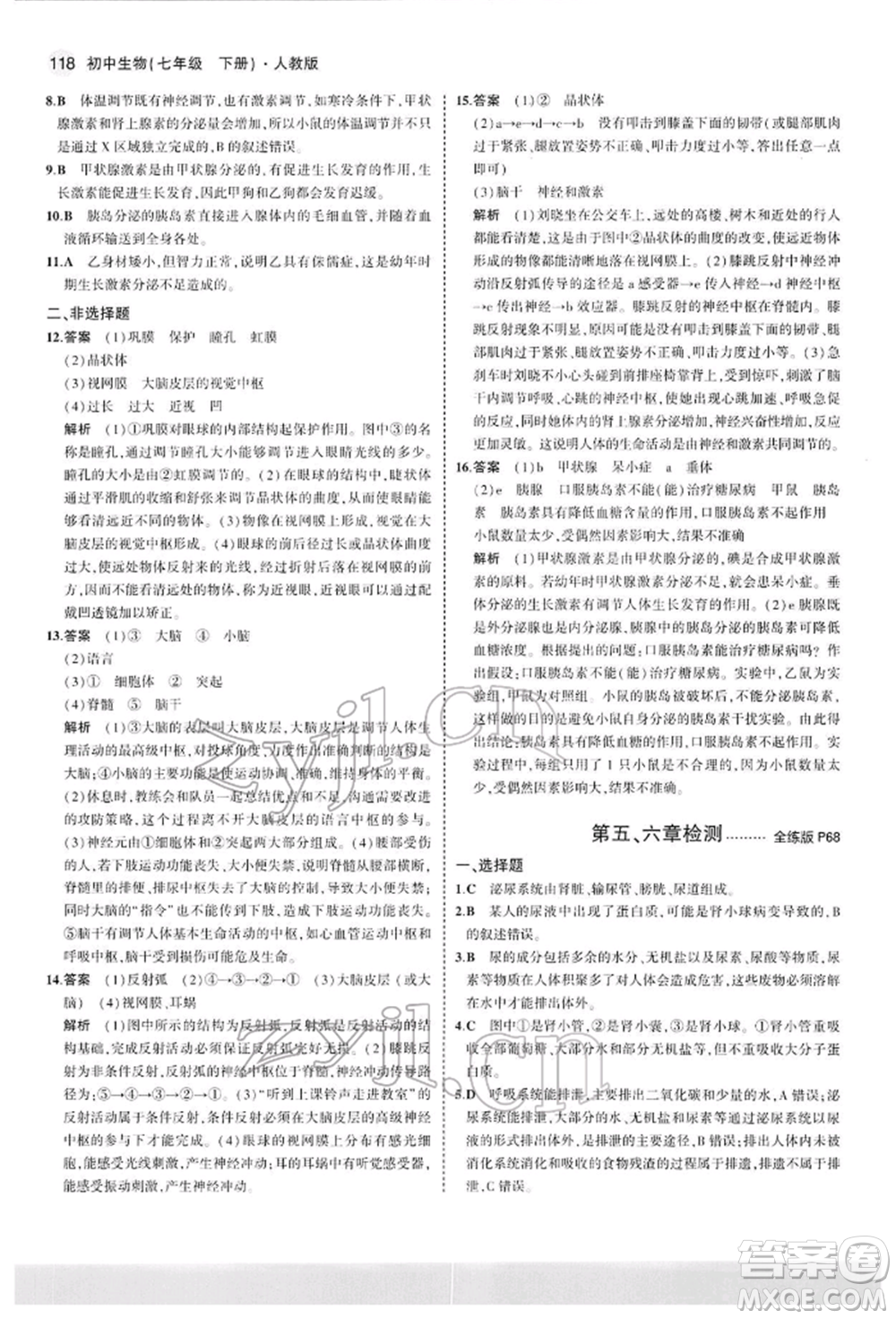 首都師范大學(xué)出版社2022年5年中考3年模擬七年級生物下冊人教版參考答案