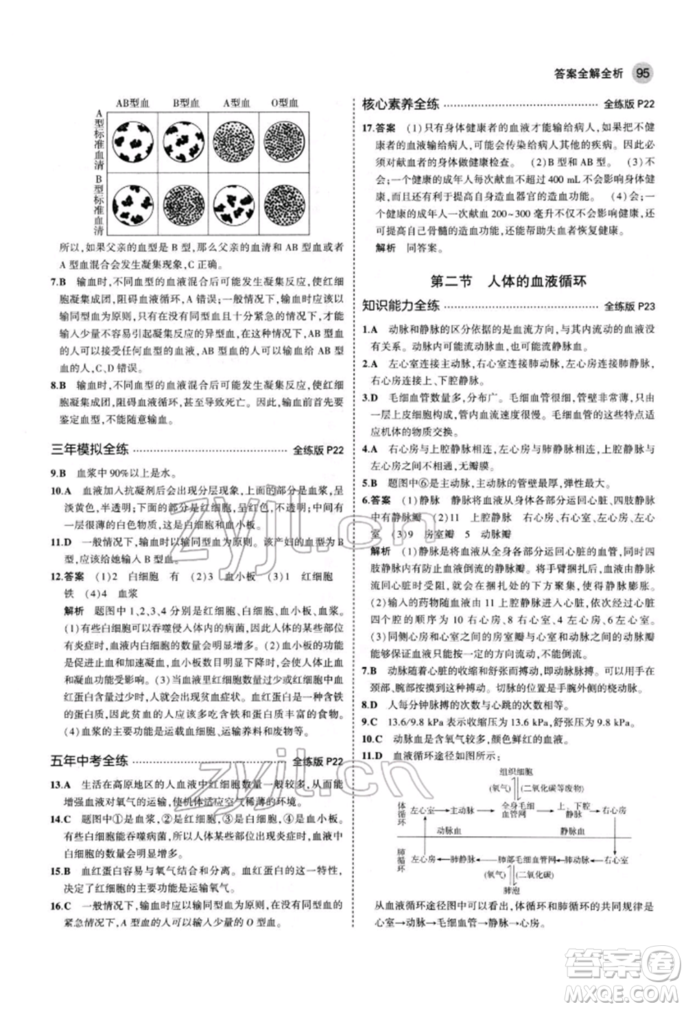 首都師范大學(xué)出版社2022年5年中考3年模擬七年級(jí)生物下冊(cè)蘇教版參考答案