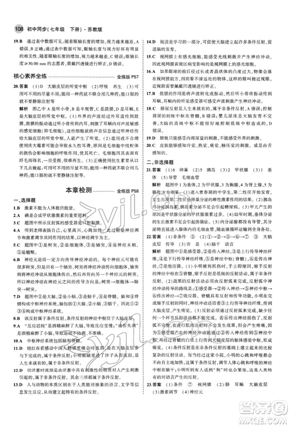首都師范大學(xué)出版社2022年5年中考3年模擬七年級(jí)生物下冊(cè)蘇教版參考答案
