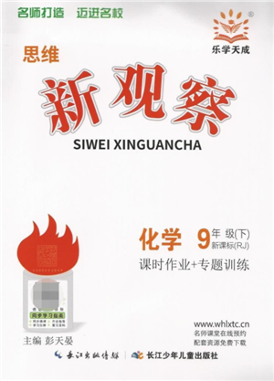 長江少年兒童出版社2022思維新觀察九年級化學(xué)下冊人教版參考答案