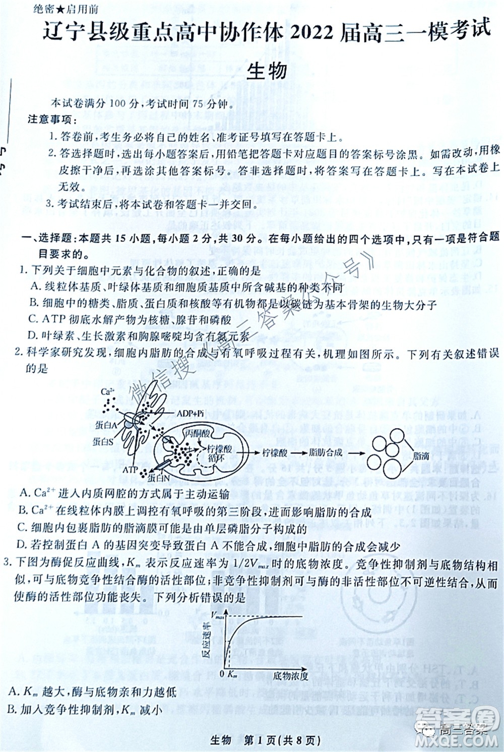 遼寧縣級(jí)重點(diǎn)高中協(xié)作體2022屆高三一模考試生物試題及答案