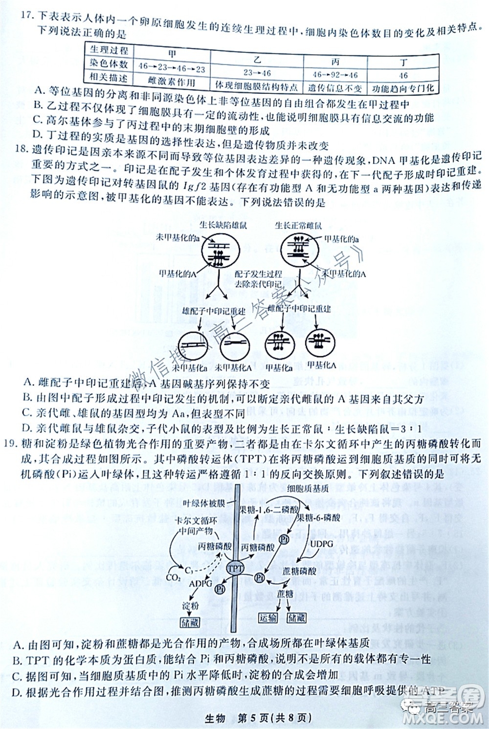 遼寧縣級(jí)重點(diǎn)高中協(xié)作體2022屆高三一?？荚嚿镌囶}及答案