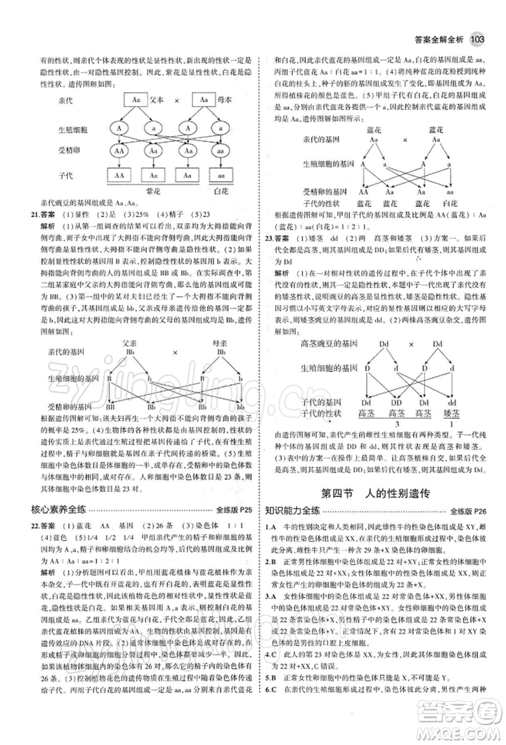 首都師范大學出版社2022年5年中考3年模擬八年級生物下冊人教版參考答案