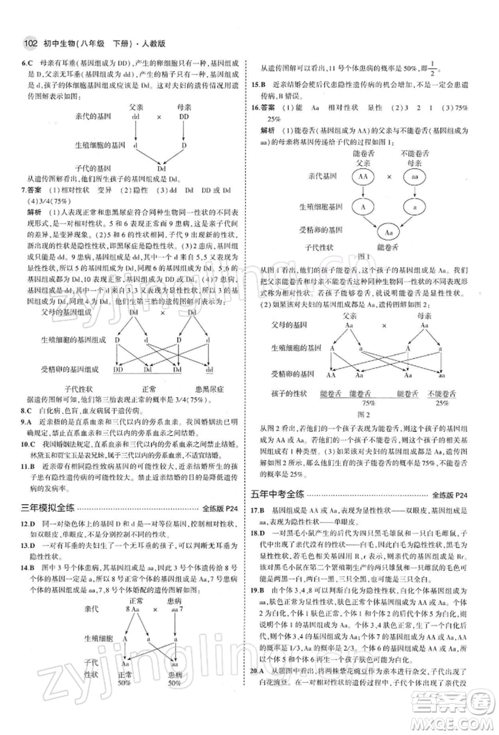 首都師范大學出版社2022年5年中考3年模擬八年級生物下冊人教版參考答案