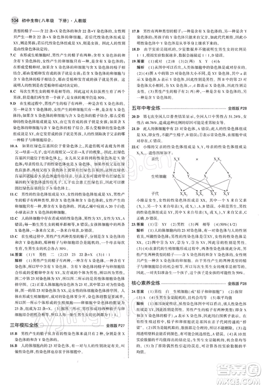 首都師范大學出版社2022年5年中考3年模擬八年級生物下冊人教版參考答案