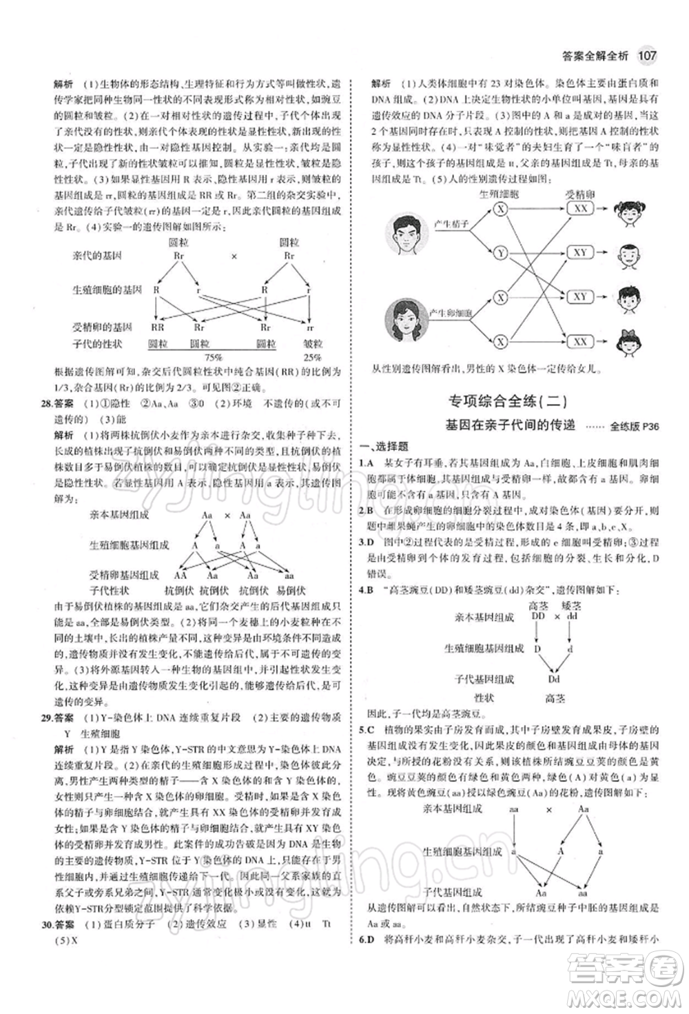 首都師范大學出版社2022年5年中考3年模擬八年級生物下冊人教版參考答案