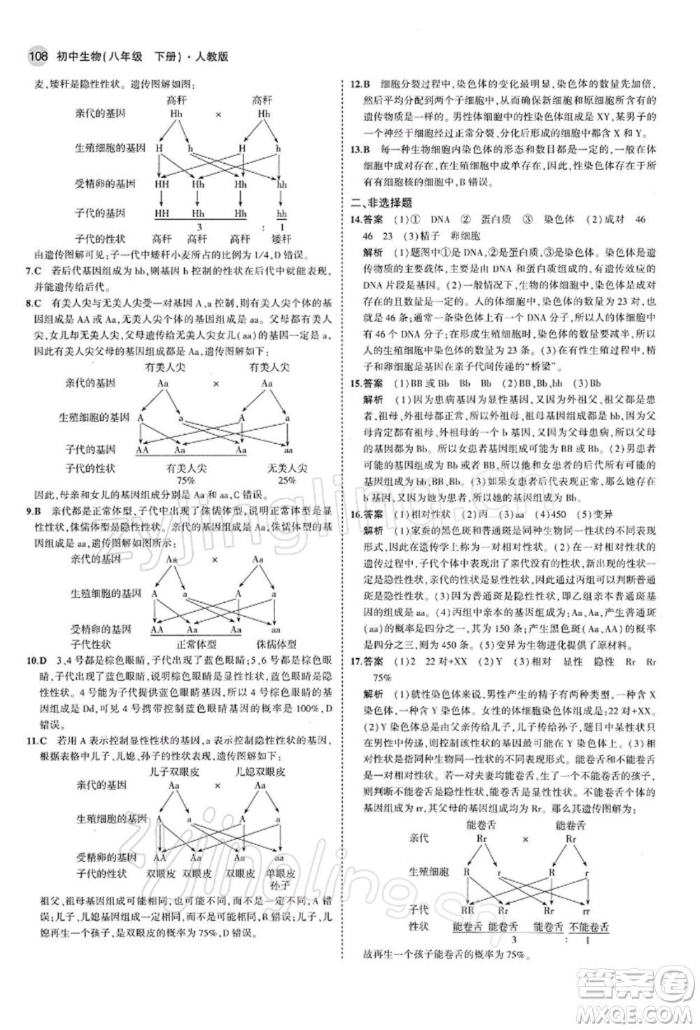 首都師范大學出版社2022年5年中考3年模擬八年級生物下冊人教版參考答案