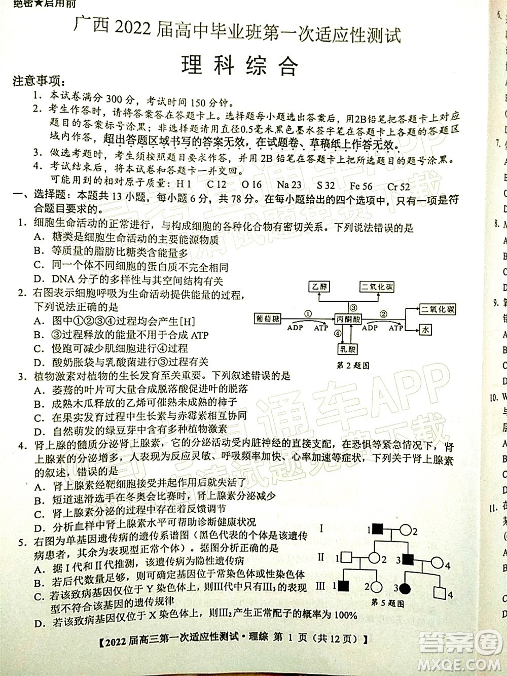 廣西2022屆高中畢業(yè)班第一次適應(yīng)性測試理科綜合試題及答案