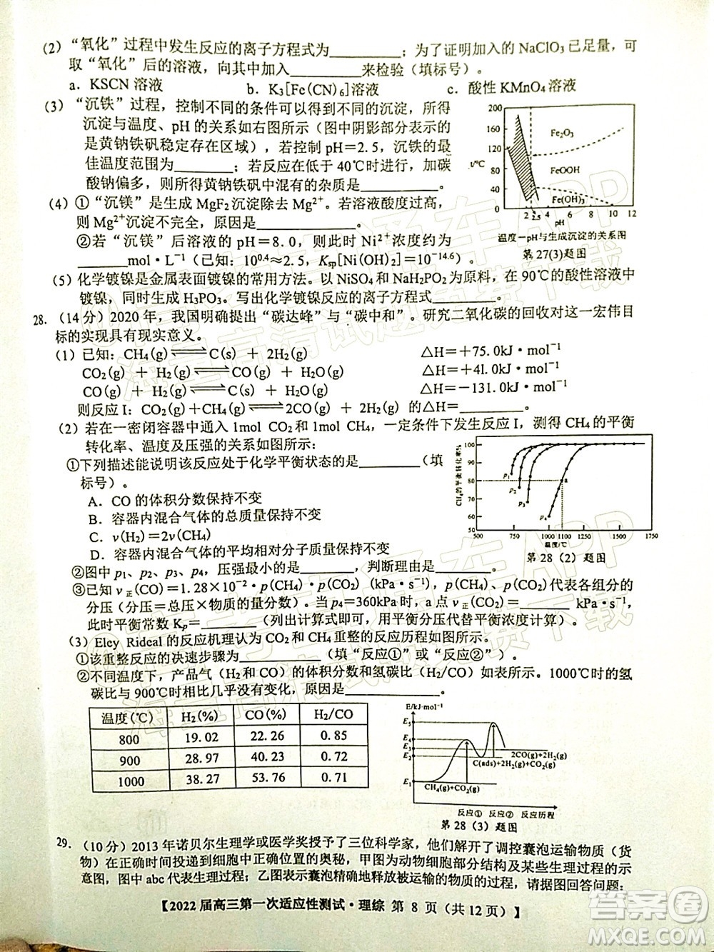 廣西2022屆高中畢業(yè)班第一次適應(yīng)性測試理科綜合試題及答案