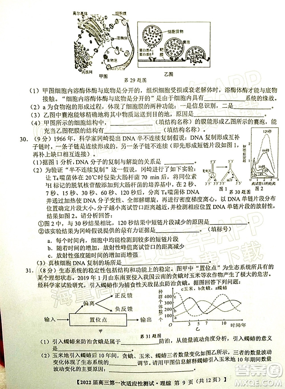 廣西2022屆高中畢業(yè)班第一次適應(yīng)性測試理科綜合試題及答案