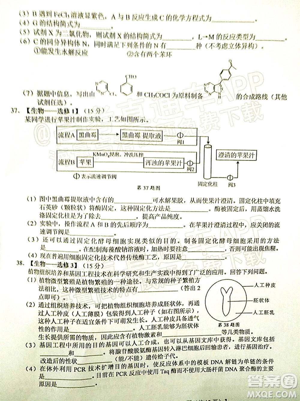 廣西2022屆高中畢業(yè)班第一次適應(yīng)性測試理科綜合試題及答案